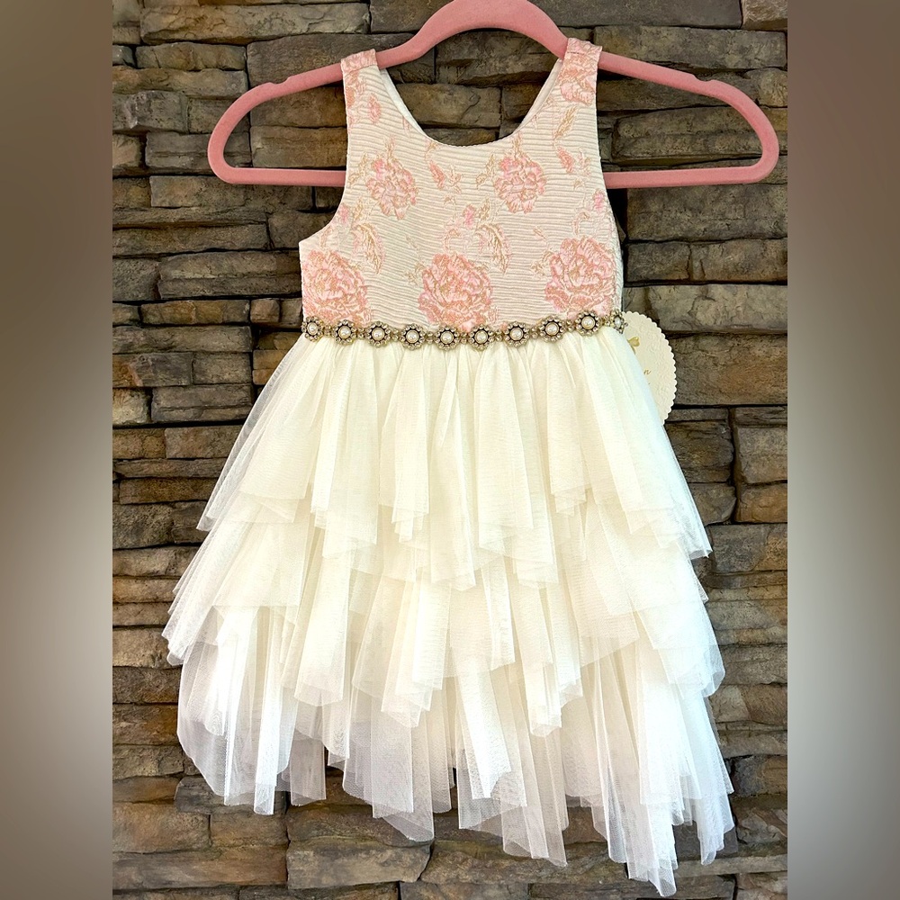 American Princess Pink Roses and Tulle Toddler Dress 2T NWT